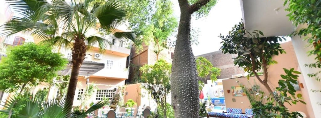The garden at noon