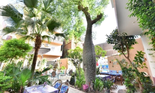 The garden at noon